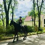 Burgstrasse Ost Mit Garten Und Sauna דירה *