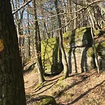 Burgstrasse Ost Mit Garten Und Sauna * Altleiningen