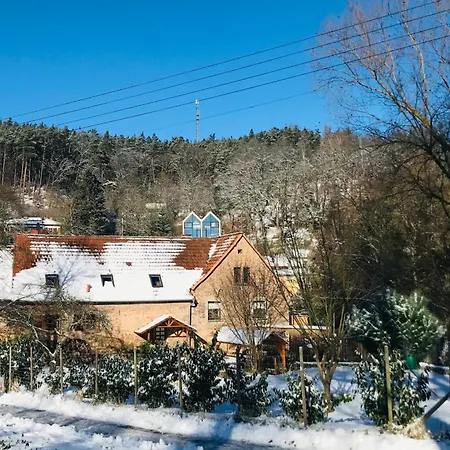 Apartamento Burgstrasse Ost Mit Garten Und Sauna Altleiningen