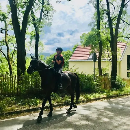 Burgstrasse Ost Mit Garten Und Sauna アパート *