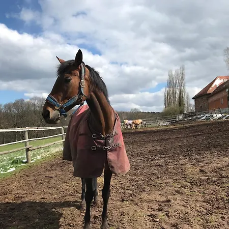 דירה Burgstrasse Ost Mit Garten Und Sauna