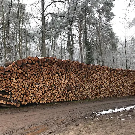 Burgstrasse Ost Mit Garten Und Sauna Altleiningen