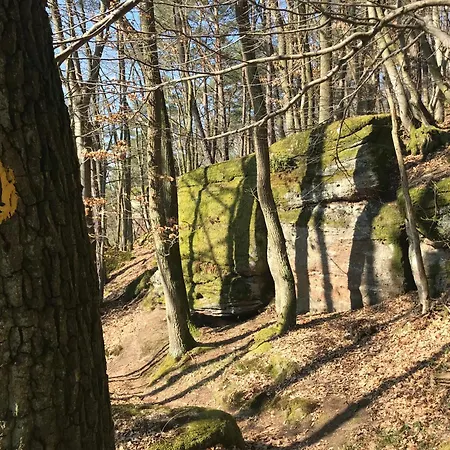 Ferienapartment Burgstrasse Ost Mit Garten Und Sauna * Altleiningen
