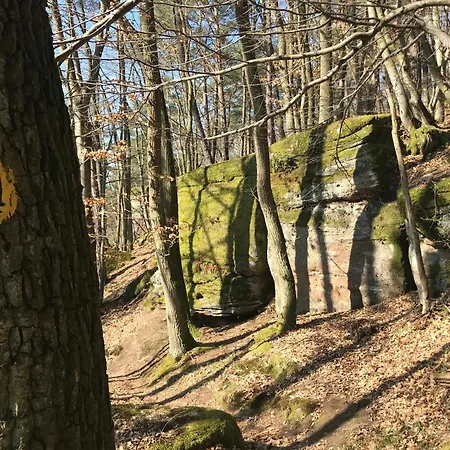 Burgstrasse Ost Mit Garten Und Sauna * Altleiningen