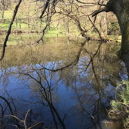 Apartamento Burgstrasse Ost Mit Garten Und Sauna Altleiningen