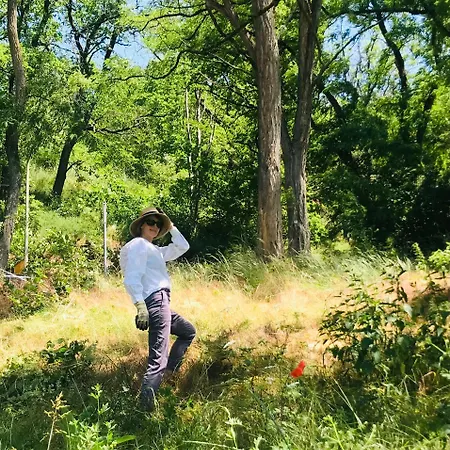Burgstrasse Ost Mit Garten Und Sauna Altleiningen