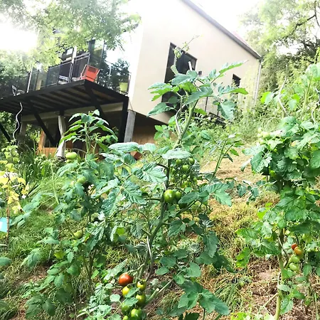 Burgstrasse Ost Mit Garten Und Sauna Apartamento