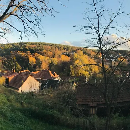 Apartamento Burgstrasse Ost Mit Garten Und Sauna Altleiningen