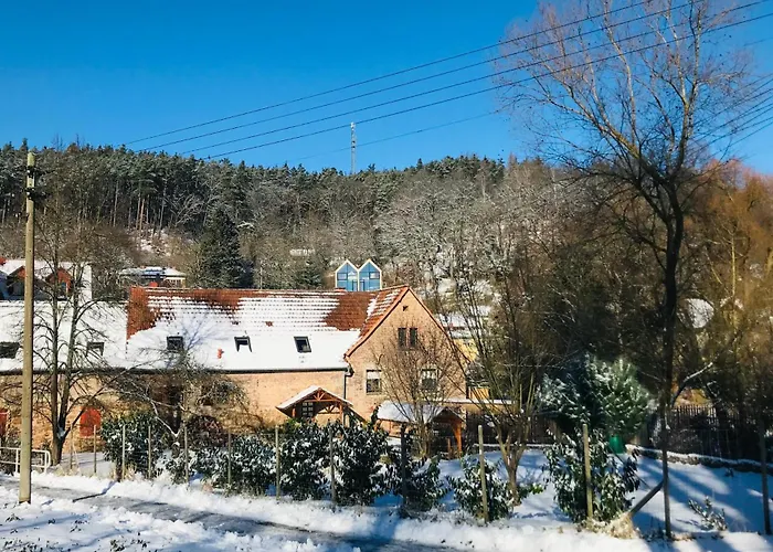 公寓 Burgstrasse Ost Mit Garten Und Sauna Altleiningen