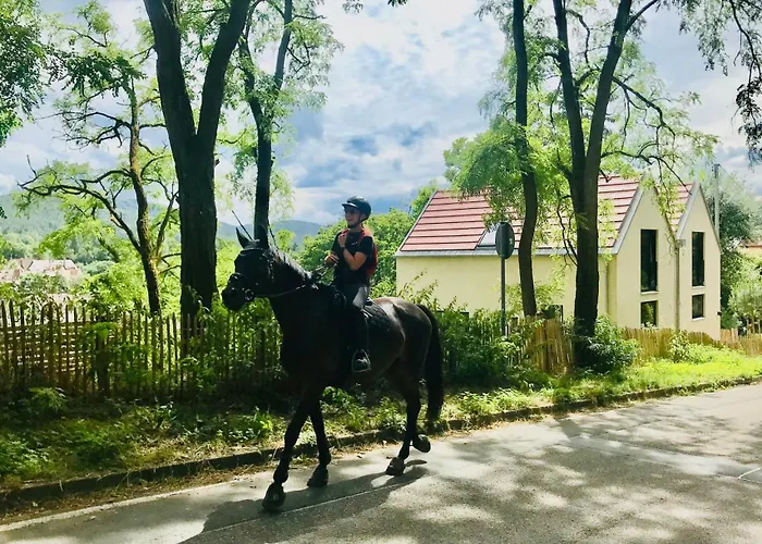 Burgstrasse Ost Mit Garten Und Sauna דירה *