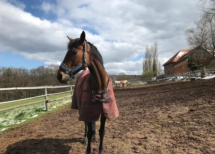 דירה Burgstrasse Ost Mit Garten Und Sauna