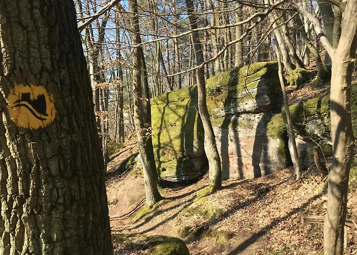 Burgstrasse Ost Mit Garten Und Sauna * Altleiningen