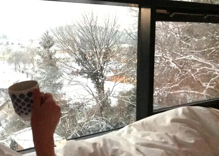 Burgstrasse Ost Mit Garten Und Sauna 公寓 Altleiningen