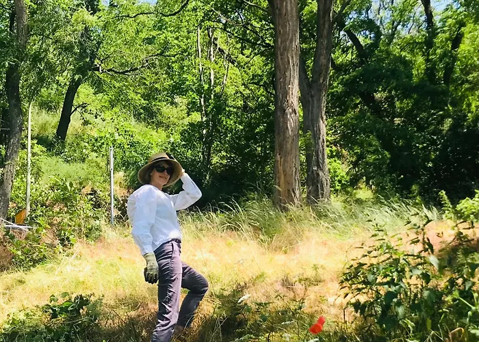 Burgstrasse Ost Mit Garten Und Sauna Altleiningen